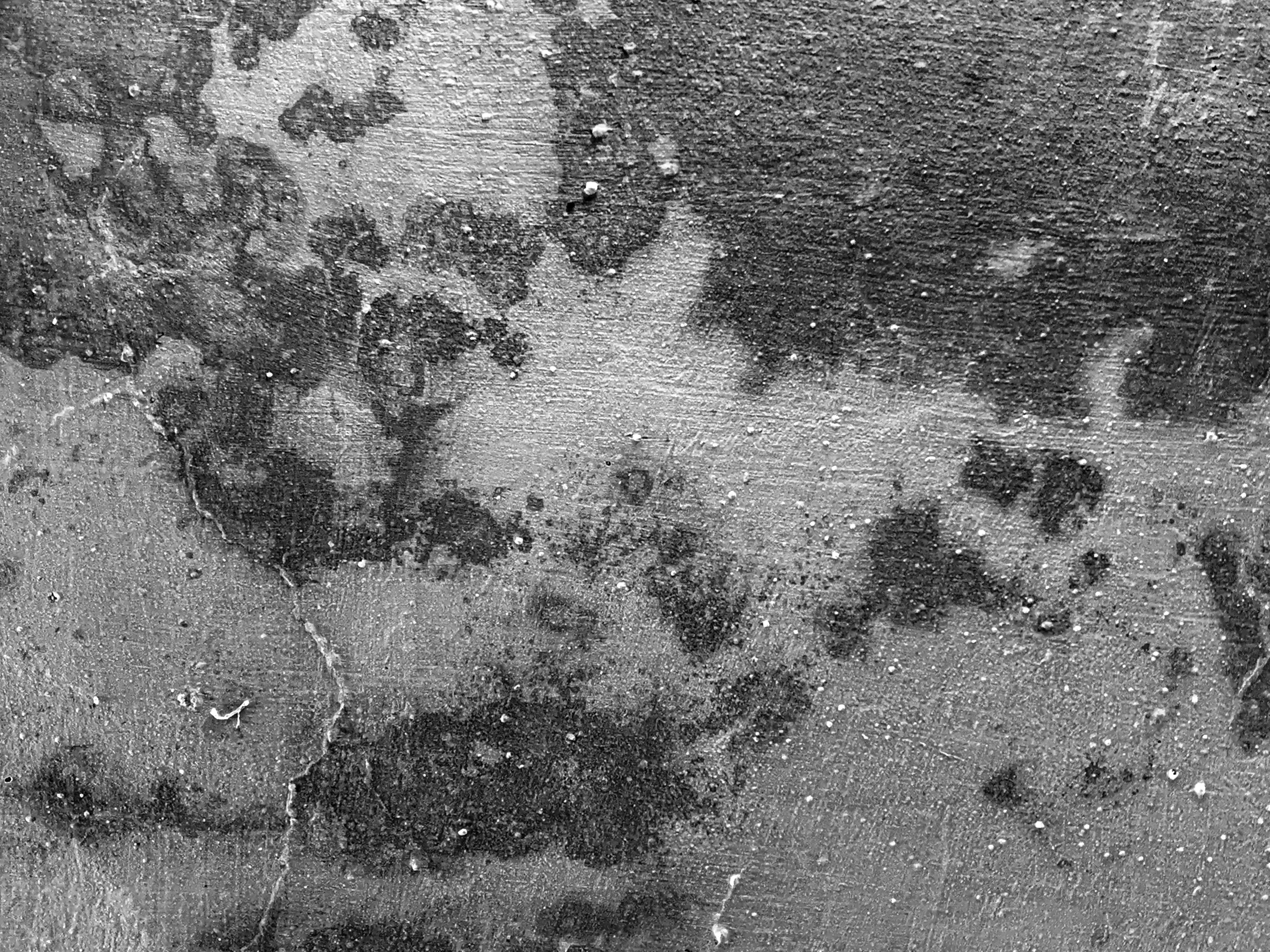 Professional Plastering Services